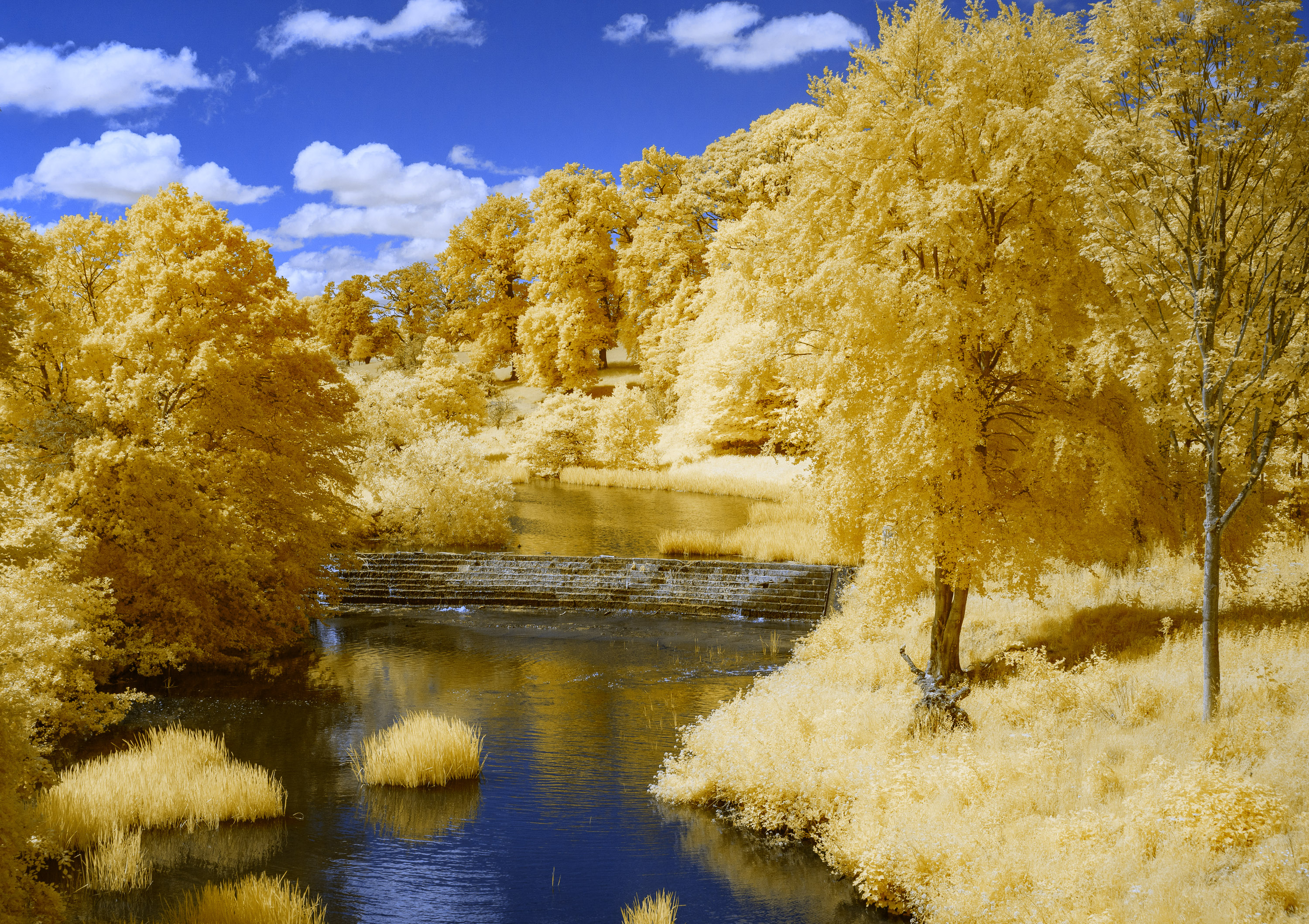 English Countryside IR fb9dbd54 89ed 4633 a39a a5590d275680